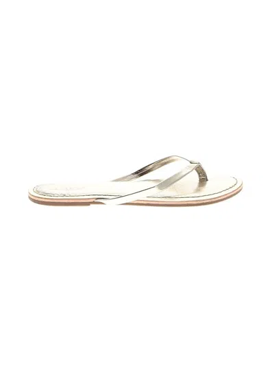 Pre-owned Jcrew Flip Flops In Silver