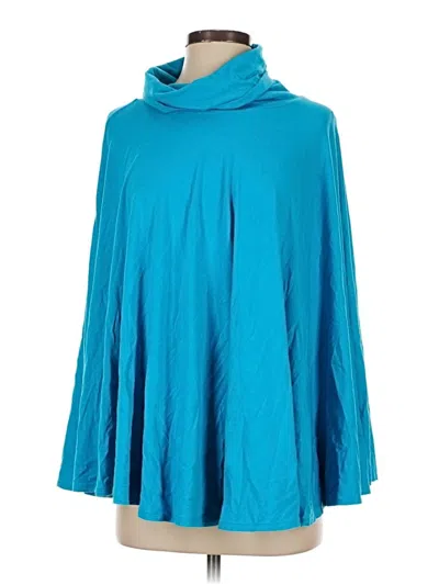 Pre-owned Jcrew Long Sleeve Turtleneck In Blue