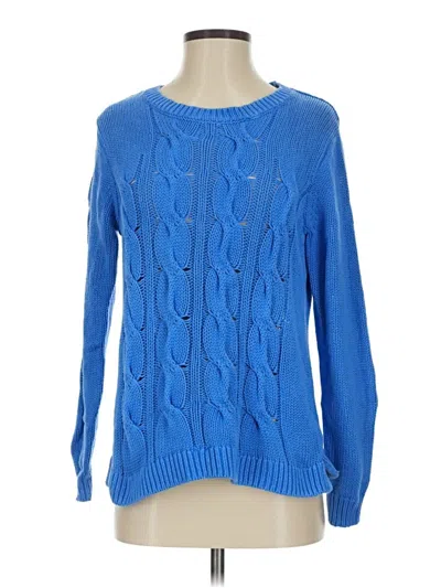 Pre-owned Jcrew Pullover Sweater In Blue