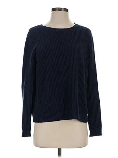Pre-owned Jcrew Pullover Sweater In Blue