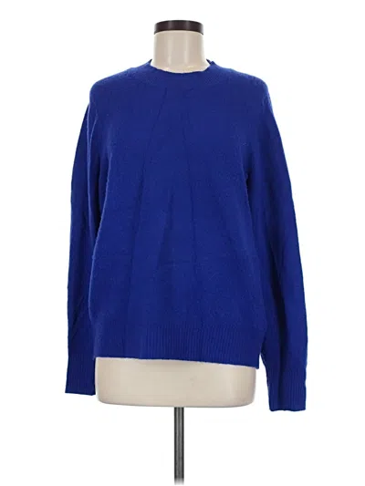 Pre-owned Jcrew Pullover Sweater In Blue