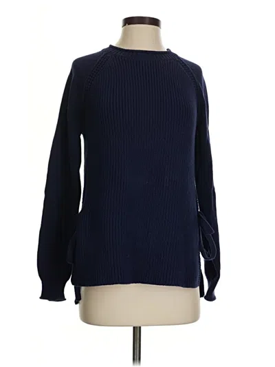 Pre-owned Jcrew Pullover Sweater In Blue
