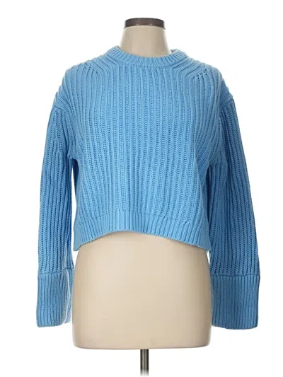 Pre-owned Jcrew Pullover Sweater In Blue
