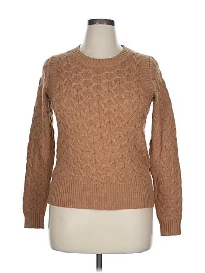 Pre-owned Jcrew Pullover Sweater In Brown