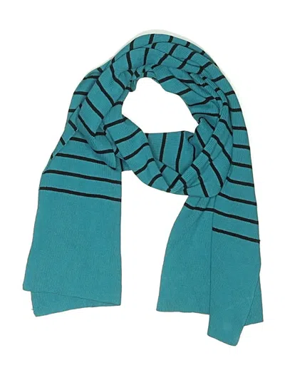 Pre-owned Jcrew Scarf In Blue