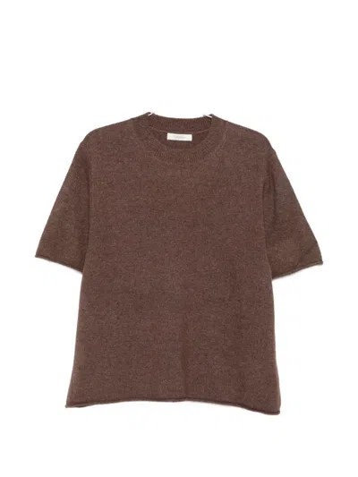 Jcsophie Phoenix Short-sleeve Sweater In Brown