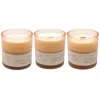 Je Mérite (i Deserve) White I Deserve Love, Forever, & Adventure 8 oz Candle Gift Set In Neutral