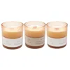 Je Mérite (i Deserve) White I Deserve Serendipity, Kismet, & Adventure 8 oz Candle Gift Set In Neutral