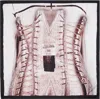 Jean Paul Gaultier Pink & Gray 'the Trompe L'oeil Corset' Printed Silk Scarf In 260100-dustypink/whi