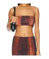 Jean Paul Gaultier Cotton Ribbed Printed Python Bra Top In Brown
