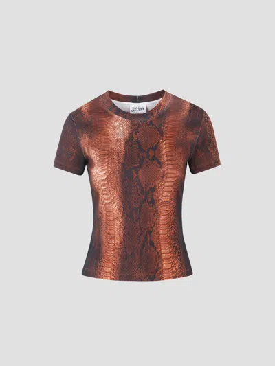 Jean Paul Gaultier Ribbed Tee-shirt In Snake Print In Brown