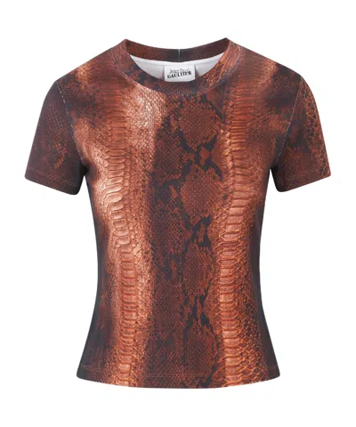 Jean Paul Gaultier Python-print Crew-neck T-shirt In Brown