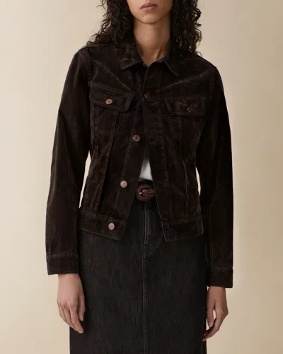 Jeanerica Elsa In Brown