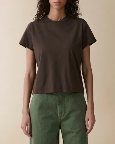 Jeanerica Ines In Brown