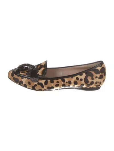 Pre-owned Jean-michel Cazabat Ponyhair Animal Print Ballet Flats In Brown
