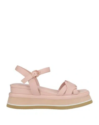 Jeannot Woman Sandals Blush Size 7 Leather In Pink