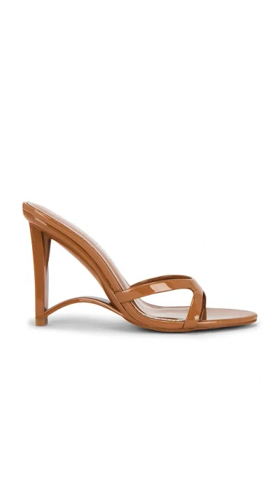Jeffrey Campbell Absentia Sandal In Brown