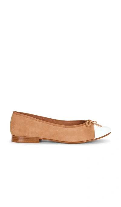 Jeffrey Campbell Arabesque 플랫 In Brown
