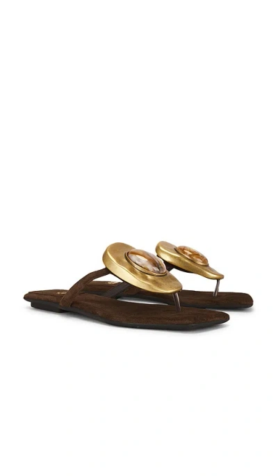 Jeffrey Campbell Bazaar Flat Sandal In Brown