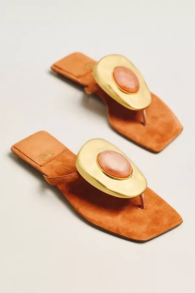 Jeffrey Campbell Bazaar Thong Sandals In Brown