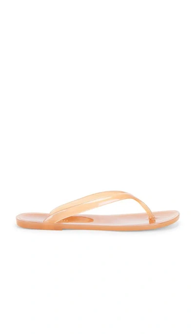 Jeffrey Campbell Beach Day Flip Flop In Brown