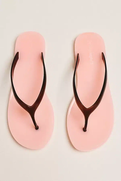 Jeffrey Campbell Beach Jelly Flip Flops In Brown