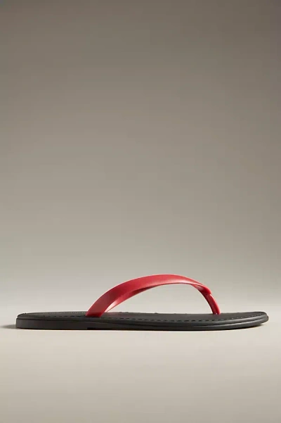 Jeffrey Campbell Beach Thong Sandals In Red