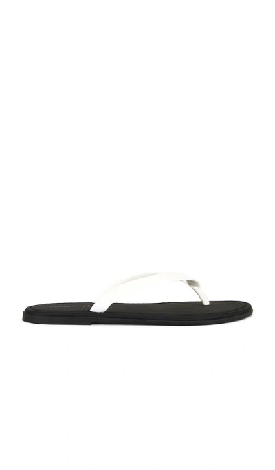 Jeffrey Campbell Beached Sandal In 白色&黑色