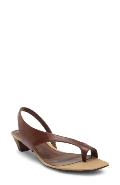 Jeffrey Campbell Blissful Slingback Sandal In Brown