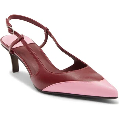 Jeffrey Campbell Booshky Slingback Pointed Toe Pump In Multi