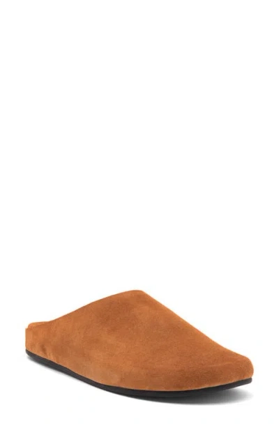 Jeffrey Campbell Content Suede Clog In Dark Tan Suede