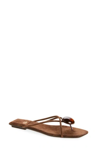 Jeffrey Campbell Cosmos Flip Flop In Brown