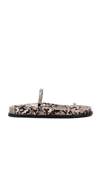 Jeffrey Campbell De Milo Sandal In Beige & Black Snake