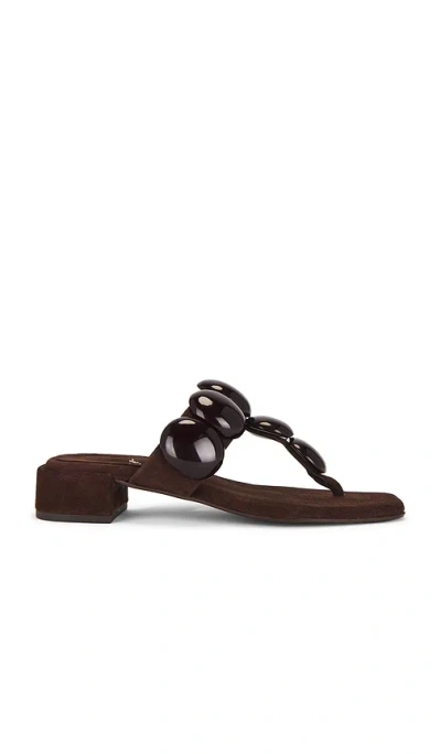 Jeffrey Campbell Espresso Sandals In Brown