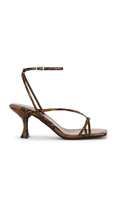 Jeffrey Campbell Fluxx Sandal In Multi