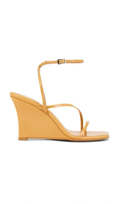 Jeffrey Campbell Highlight Sandal