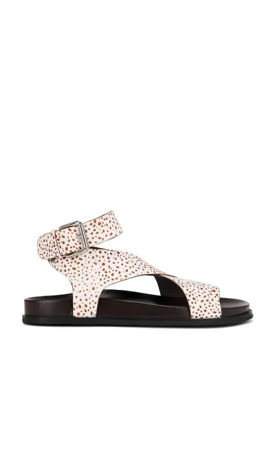 Jeffrey Campbell Hvar Sandals In Beige Cream Brown Dots