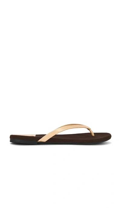 Jeffrey Campbell Kierra Sandal In Brown