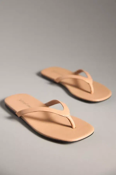Jeffrey Campbell Kierra Thong Sandals