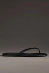 Jeffrey Campbell Kierra Thong Sandals