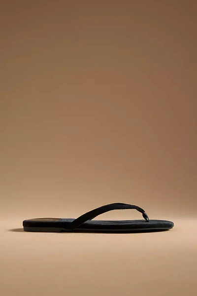 Jeffrey Campbell Kierra Velvet Thong Sandals In Black