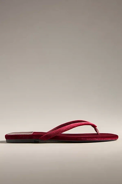 Jeffrey Campbell Kierra Velvet Thong Sandals In Purple