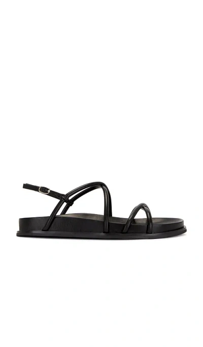 Jeffrey Campbell La Empress Sandal In 블랙