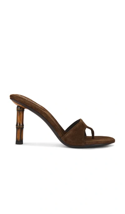 Jeffrey Campbell Linette Sandal In Brown