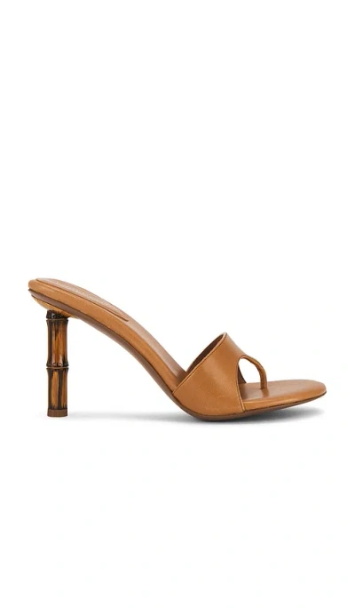 Jeffrey Campbell Linette Sandal In Brown