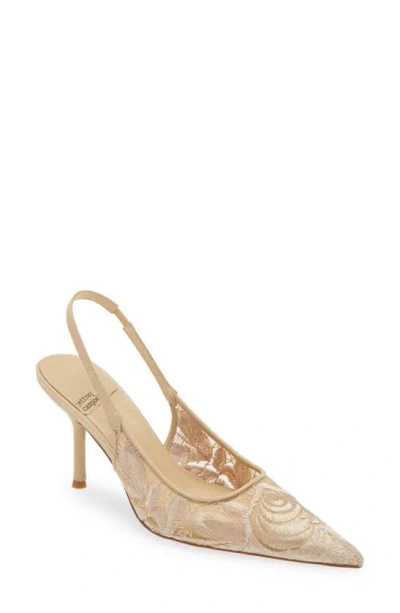 Jeffrey Campbell Lofficele Embroidered Mesh Slingback Pointed Toe Pump In Natural Lace
