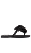 JEFFREY CAMPBELL PERENNIAL SANDAL