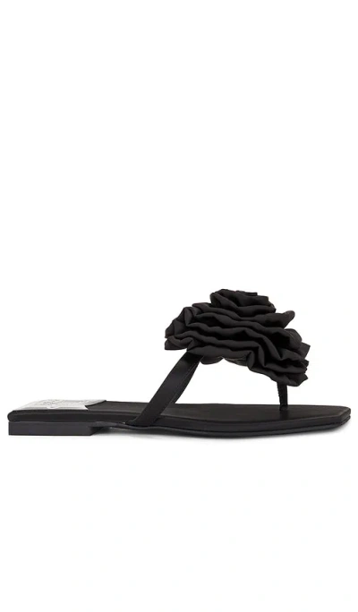 Jeffrey Campbell Perennial Sandal In 黑色丝缎
