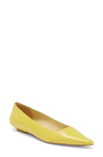 Jeffrey Campbell Pistil Pointed Toe Flat In Yellow