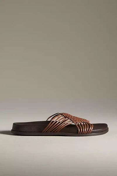 Jeffrey Campbell Plait Sandals In Brown